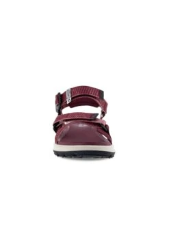 ECCO Exowrap - Outdoorsandalen - Red 15 ECCO Exowrap - Outdoorsandalen - Red -Ecco Winkel b68ae8ae2ba54430989a60e0bf7ba757
